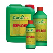 Dutch Pro Explode Dutch Pro Explode